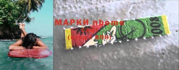 шишки Абаза