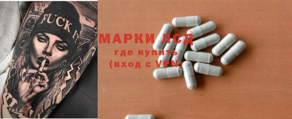 шишки Абаза