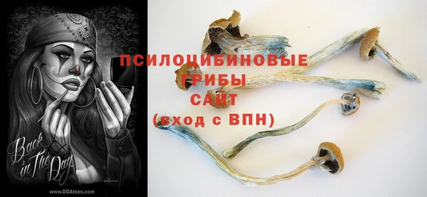 трава Кодинск