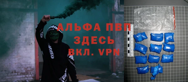 шишки Абаза