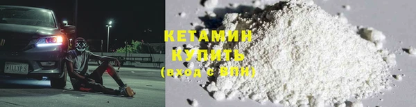 шишки Абаза