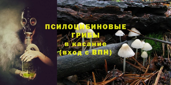 трава Кодинск