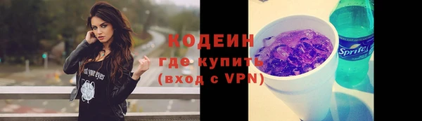 шишки Абаза