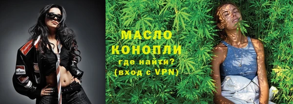 гашик Козельск
