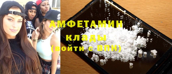 шишки Абаза