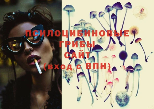шишки Абаза