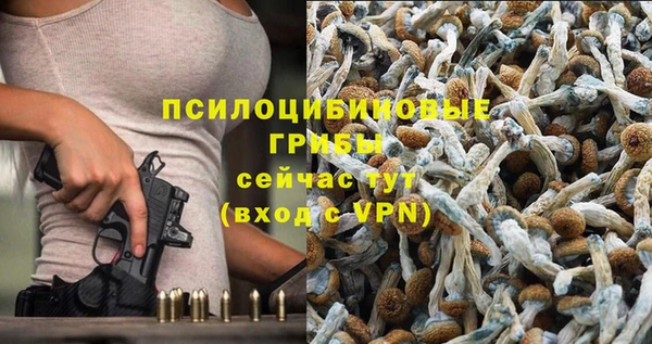 шишки Абаза