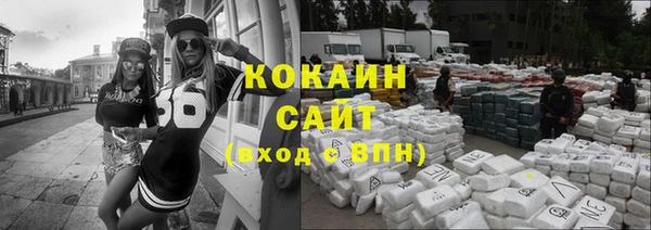 шишки Абаза