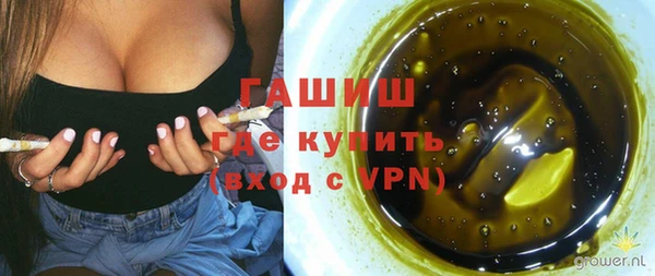 шишки Абаза
